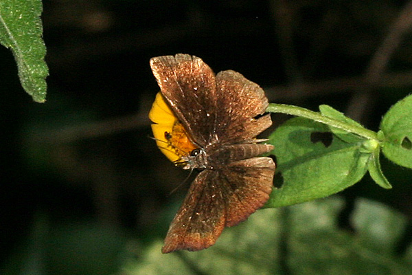 Image 400x300