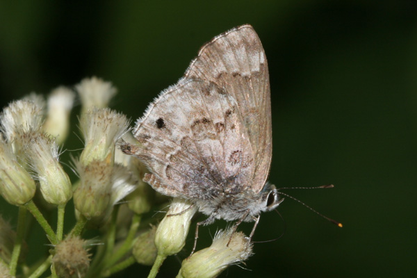 Image 400x300