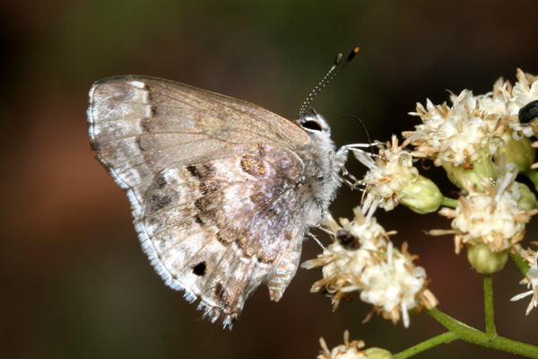 Image 400x300