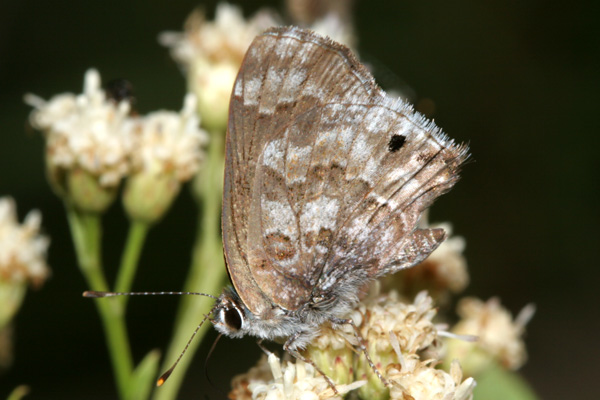 Image 400x300