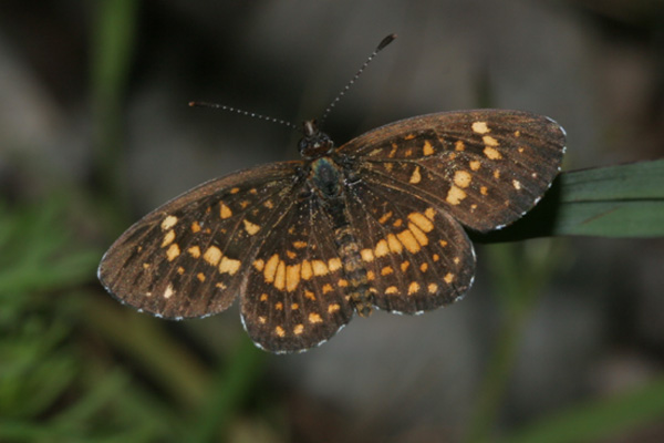 Image 400x300