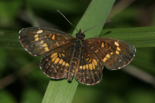 Image 400x300