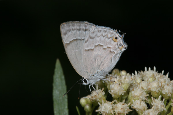 Image 400x300